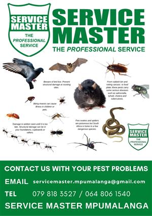 REGISTERED QUALIFIED PEST CONTROL SERVICE BY SERVICE MASTER MPUMALANGA