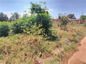 🌿 Excellent Vacant Stands Available in Koster – Perfect for Your Dream Home or Development!