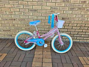 New Raleigh 20 inch girls bicycle