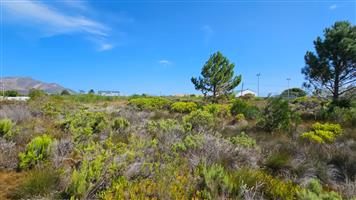 Vacant Land for Sale in Fisherhaven, Hermanus – Prime Location with Endless Potential!