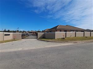 A Modern Entertainer's Dream