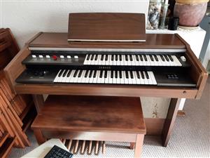 Organ (Musical Instrument)