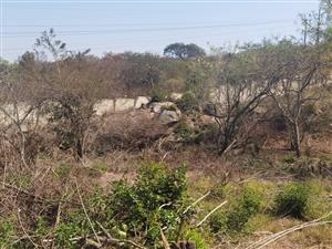 1175SQM STAND FOR SALE AT RIDGE HILL