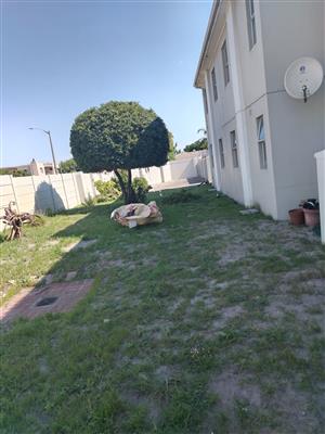 Tree felling services  and garden cleaning 