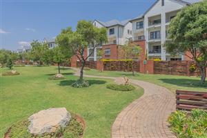 Investment Opportunity