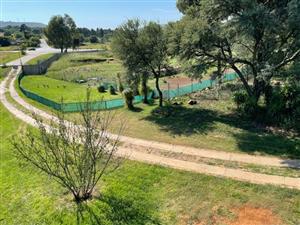 Farm For Sale in Walkerville