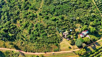 4 HECTARE SMALLHOLDING WITH 2 HOMES – GROWTH ZONE NEAR Bushvalley, Louis Trichardt.