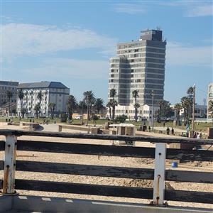 Bright Beachfront Apartment with Uninterrupted Ocean Views