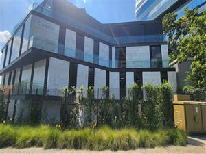 Offices let in Wierda Valley, Sandton