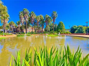 1199m² Office to Let in Constantia Office Park