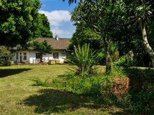 Small Holding For Sale in Drummond