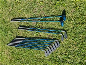 Lady Aspire golf set with bag. 2 woods.