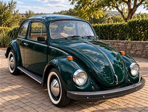 1977 Beetle 