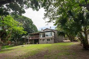 Newly renovated house