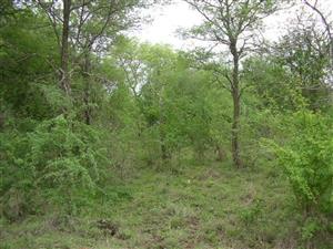 Vacant Land Commercial For Sale in MARLOTH PARK