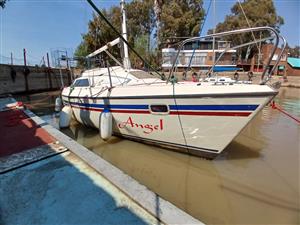 Yacht For Sale - Holiday23