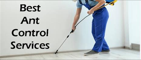 PEST CONTROL BUSINESS FOR SALE