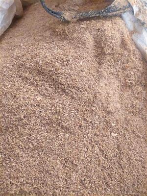 Mixed wood shavings for sale