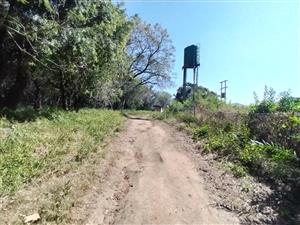 Entrepreneur’s Opportunity – Versatile Farm with Endless Potential - Mooinooi