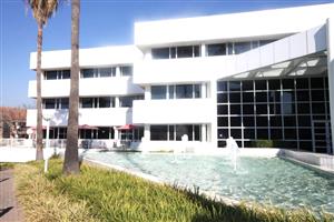 Office space to let on the Ground floor and 1st floor of 7 Kikuyu Road in Sunninghill