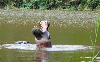 Vacant stand: Kranspoort Vakansiedorp Golf Estate