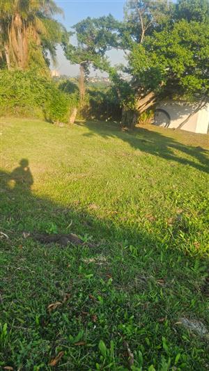 Prime Land available 