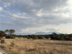 Vacant Land Residential For Sale in Moditlo Wildlife Estate
