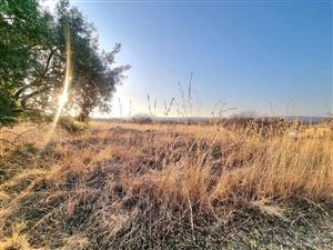 EXCLUSIVE COMMERCIAL STANDS IN KORO CREEK – LAST OPPORTUNITY FOR PREMIUM INVESTMENT