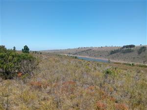 FARM FOR SALE IN HUMANSDORP AREA - DAM VIEWS, OPEN SKIES