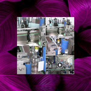 Speed you control, quality you keep — 20–50 bottles/min with easy adjustments.  