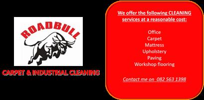 Roadkill carpet cleaning services