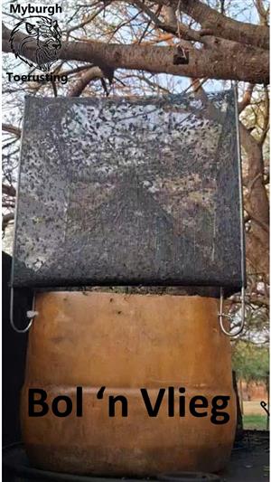 Bol 'n Vlieg
