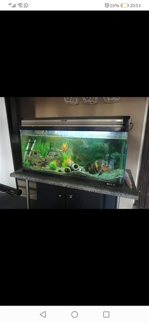 Boyu fish tank 