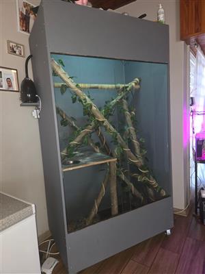 Reptile cage