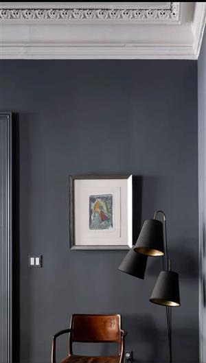 Professional painting and building renovations