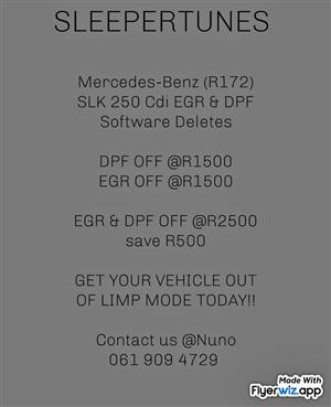 Mercedes-Benz SLK 250 Cdi (R172) EGR & DPF Remap Deletes Available