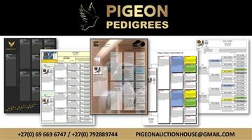 Pigeon Pedigrees Service