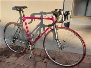  Daccordi bicycle. 53 ctc. 8 speed. Dura ace sti and back derailleur.