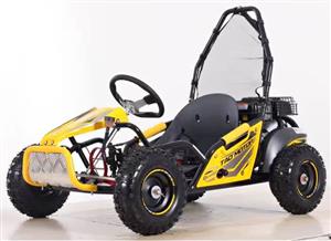 New tao motor go-karts 4 stroke