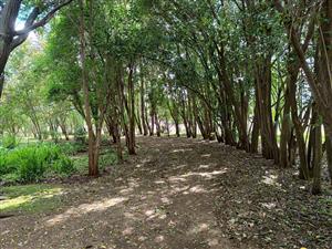 Farm For Sale in Gerhardsville