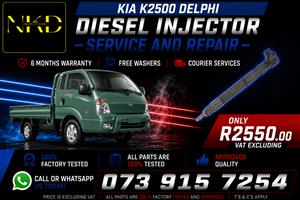 Recondition_Kia_K2500_Delphi_Injectors 