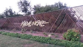 Mabalingwe Week 1
