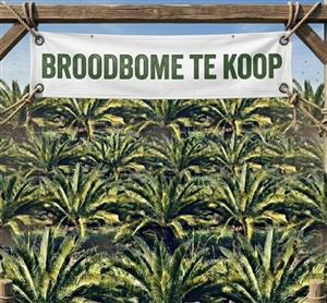 PRAGTIGE BROODBOME VIR JOU TUIN