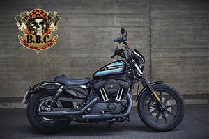 2018 Harley Davidson XL1200 Iron