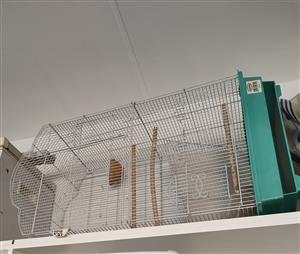 Canary cage