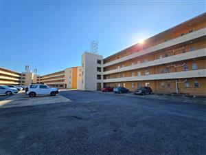 Apartment Rental Monthly in Newton Park