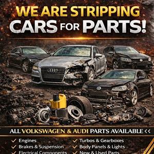 WE ARE STRIPPING CARS FOR PARTS! 🔧🚗