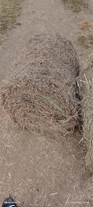 Grass Bales
