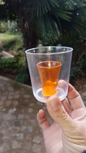 Jager Bomb Plastic Shot Cups For Jagermeister Drinks. Brand New Products.