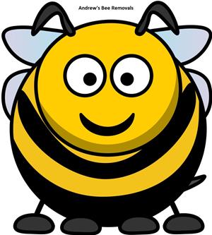 Bee removals Johannesburg